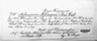 Melampsora euphorbiae image